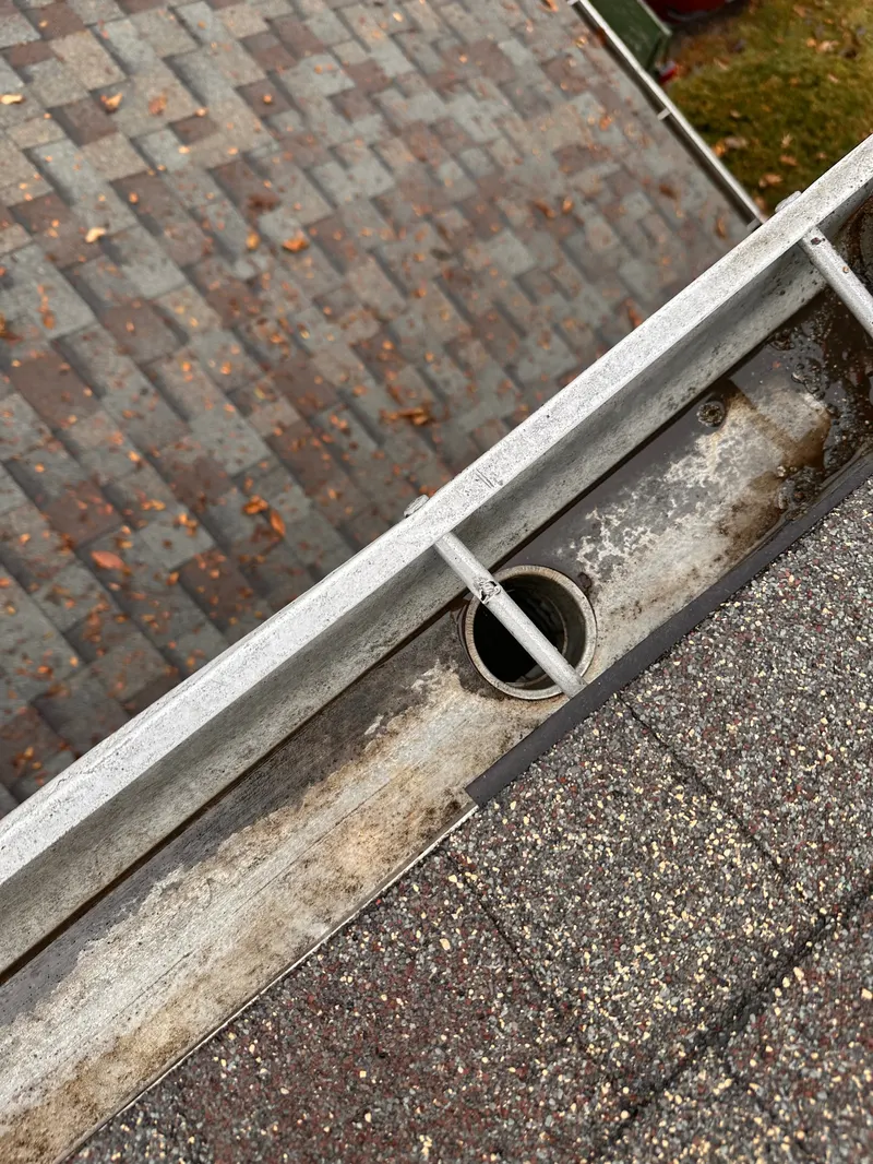 What Happens If You Never Clean Your Gutters job photo 3 — The Total Wash Co. Madison WI