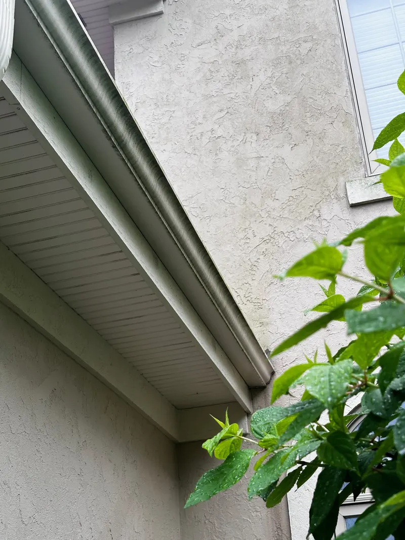 Gutter Brightening & Whitening by The Total Wash Co. in Madison, WI