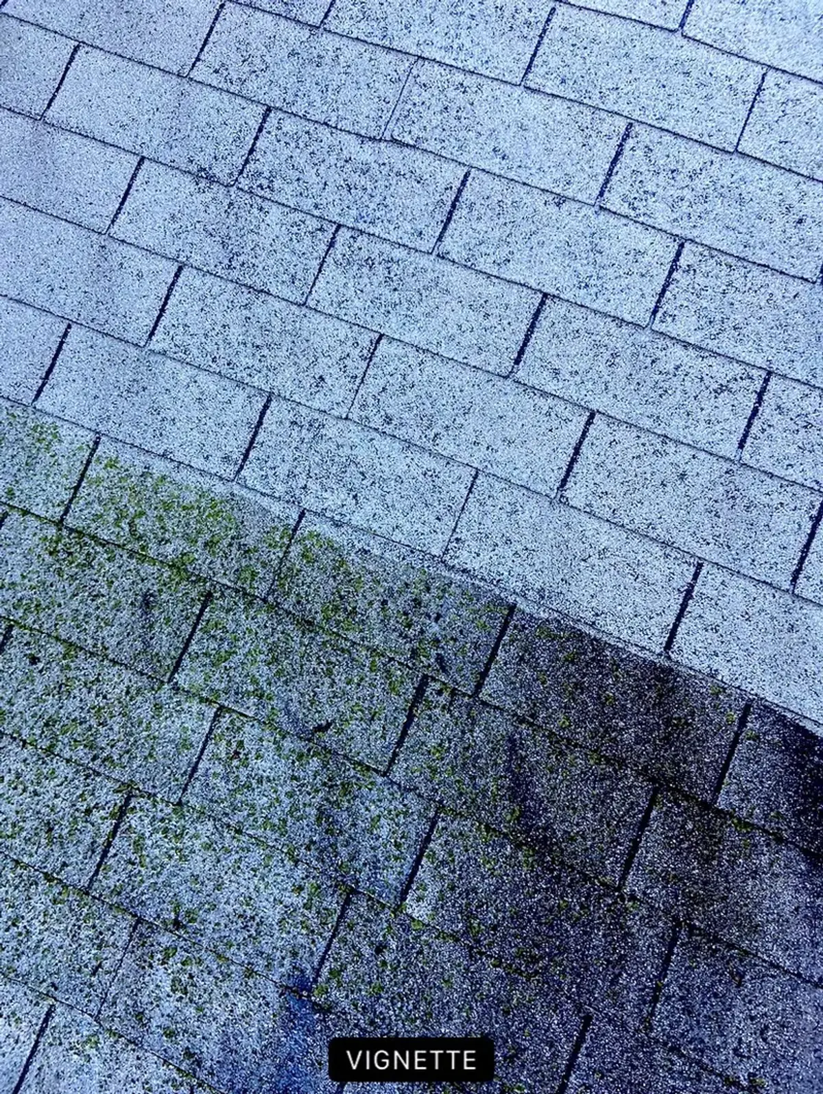 A residential roof half cleaned, half still showing black algae streaks