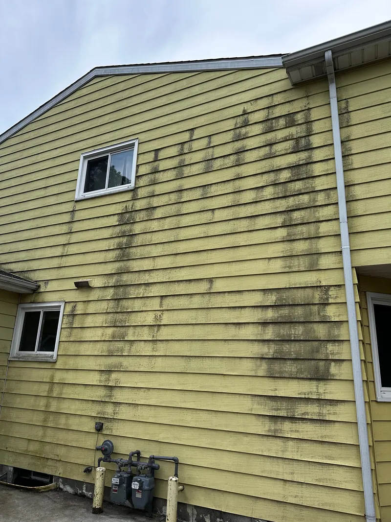 Algae & Mold Removal by The Total Wash Co. in Madison, WI