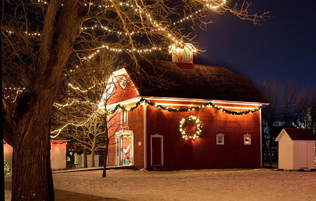 Holiday Light Removal in Madison: Hassle-Free Takedown