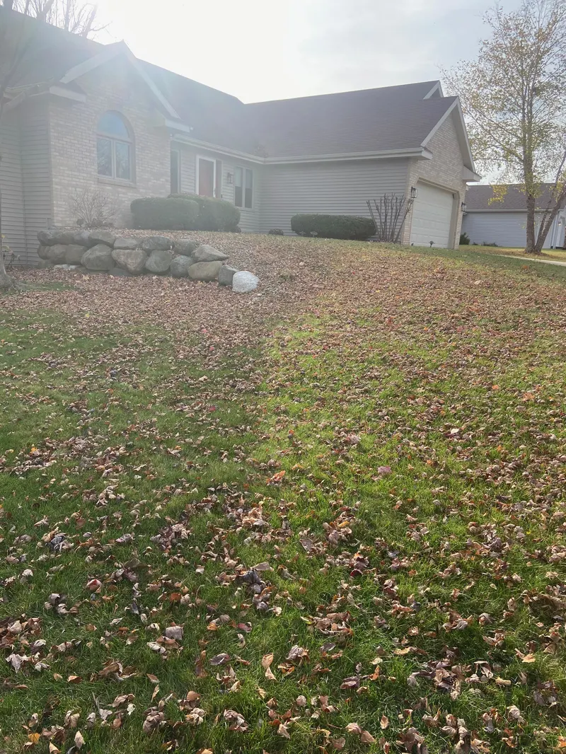 Seasonal Services - Job photo 1