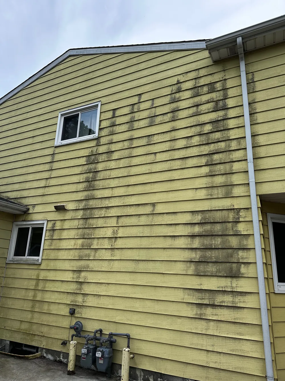 Before: Dirty, mold, mildew