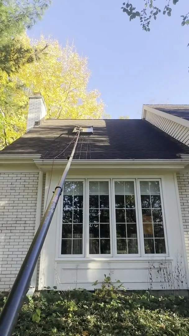 Brick Paver Cleaning
