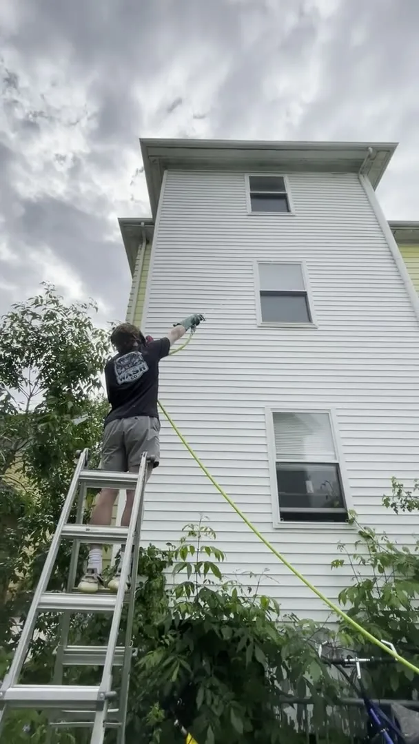Professional gutter services results