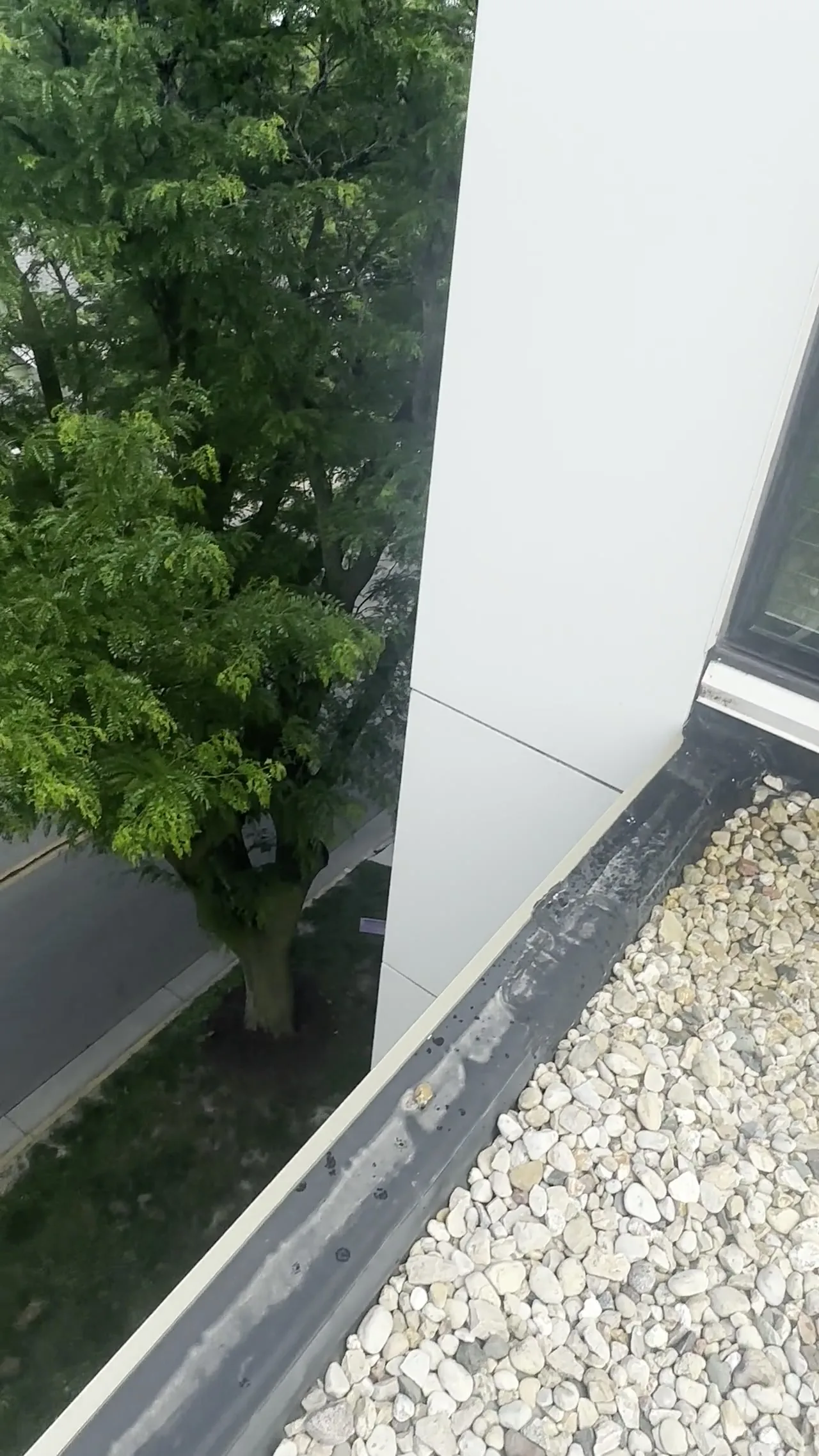 No Limits Cleaning