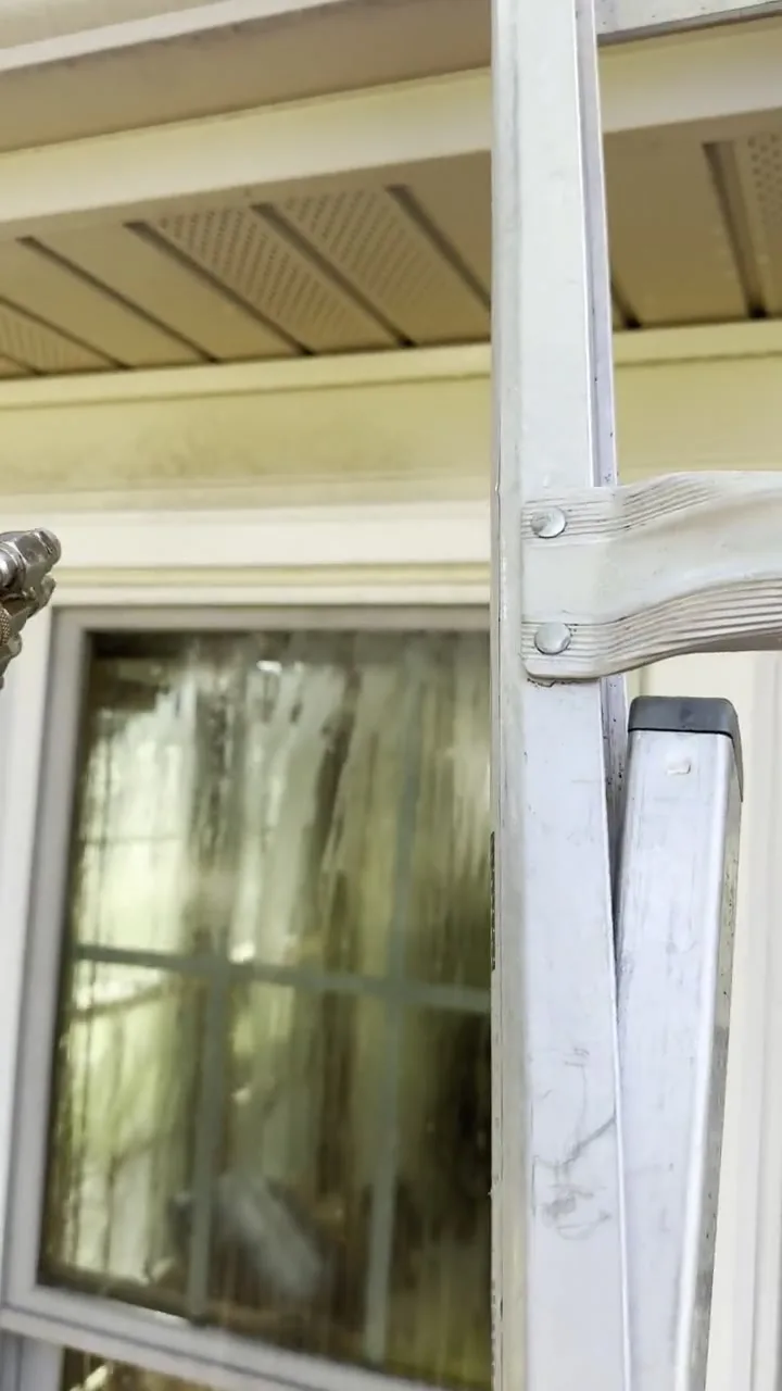 Professional exterior cleaning results
